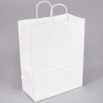 Small 10" x 5" x 13" White Paper Shopping Bag with Handles