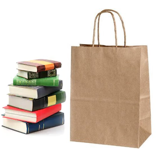 Books Paper Bags | 10x4x13 IN