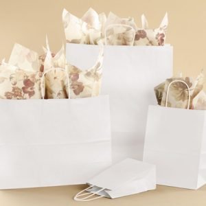 ECO BAGS INDIA - PAPER BAGS ONLINE