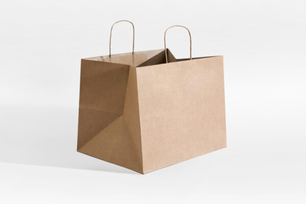 Cake Box Paper Bags - 10 x 10 x 8 Inches - Best Paper Bags Manufacturer and Paper Bags Exporter in India