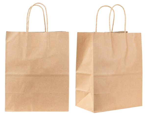 Buy Kraft Paper Shopping Bags - 12 x 5 x 16 Inches - Best Paper Bags Manufacturer and Paper Bags Exporter in India