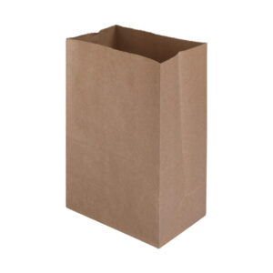 Square Bottom Paper Bags - 7x5x10 Inches