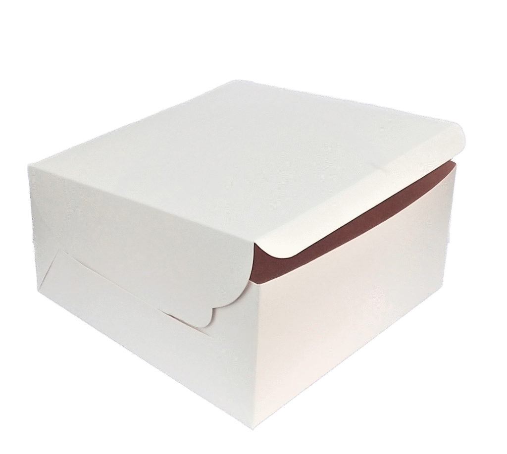 white cake box 10x10x5 inches