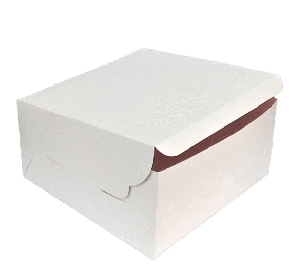 white cake box 10x10x5 inches